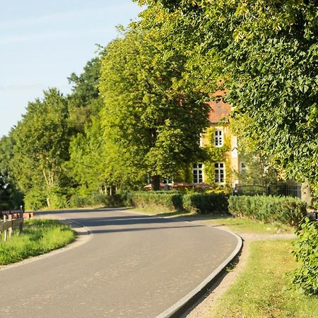 Naturnahes, Neu Moebl.Apartment, Hundefreundlich Neu Gaarz Esterno foto