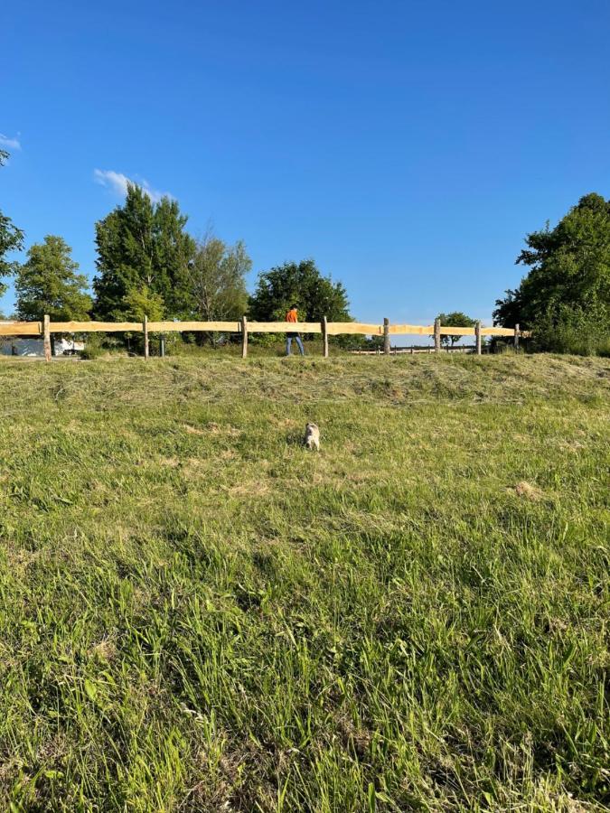 Naturnahes, Neu Moebl.Apartment, Hundefreundlich Neu Gaarz Esterno foto