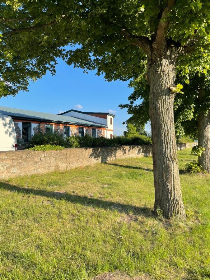 Naturnahes, Neu Moebl.Apartment, Hundefreundlich Neu Gaarz Esterno foto