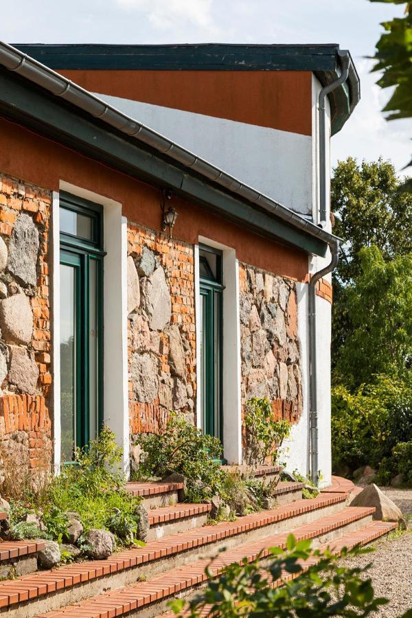 Naturnahes, Neu Moebl.Apartment, Hundefreundlich Neu Gaarz Esterno foto